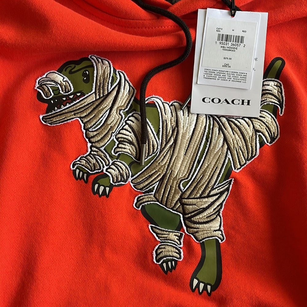 NWT  Coach X Michael B. Jordan Hoodie In Organic Cotton With Mummified Rexy.M - Picture 14 of 16